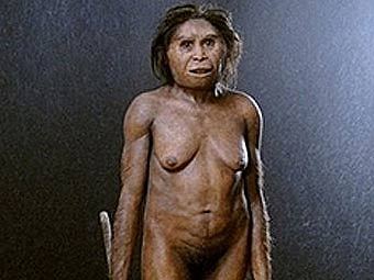 Реконструкция внешности H. floresiensis, сделанная по найденному скелету. Изображение, переданное (c)AFP