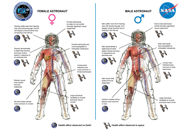 НАСА сравнило воздействие космических полетов на физиологию мужчин и женщин
