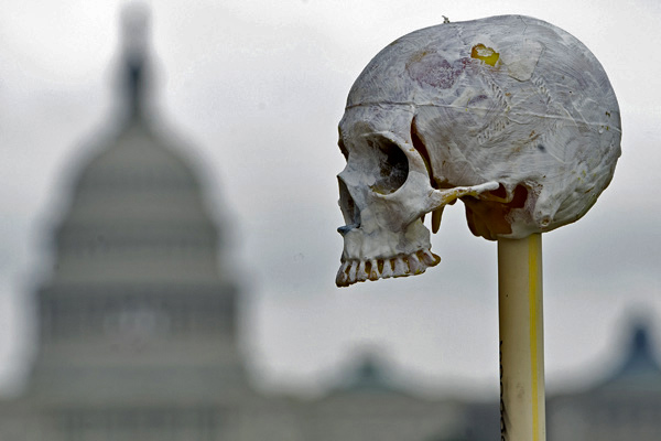 A handcrafted skull sits on a stick as part of the art installation "One Million Bones" containing one million handcrafted bones placed as a symbolic mass grave to raise awareness of genocide and mass atrocities during a three-day event on the National Mall near the US Capitol in Washington on June 10, 2013.