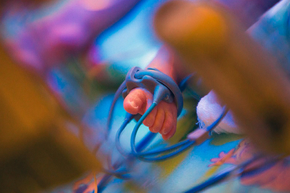  ������� ���� ���������� ������� ������ ����� ���� ������� 