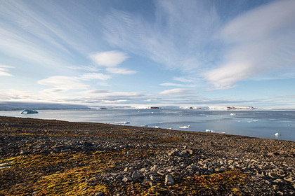 Медведев напомнил о хрупкой экологии Арктики