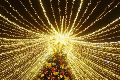 В Туркмении нашли самую большую новогоднюю елку в СНГ