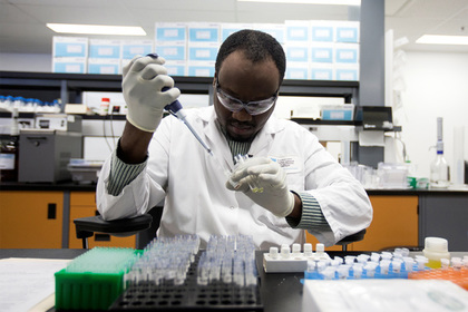  ������ wada ������������ 