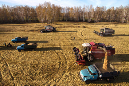 Эксперты отметили отсутствие причин для дефицита зерна в России