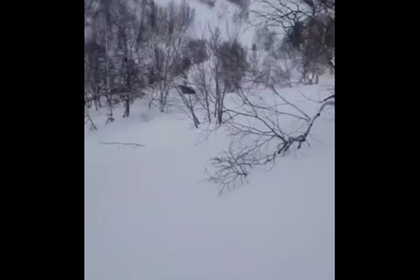 В России под лавиной погиб известный спасатель и лыжник