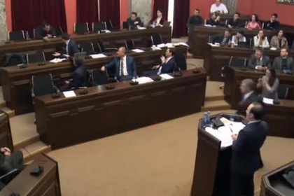 Заседание грузинского парламента закончилось мордобоем