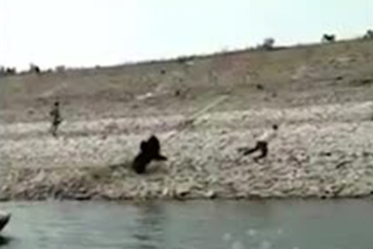 Нападение медведя на человека сняли на видео