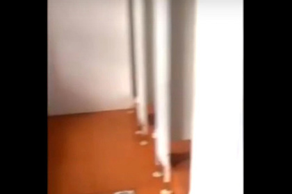 В российской школе во время ЕГЭ в туалетах сняли двери и смотрели на детей