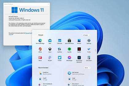    Windows 11