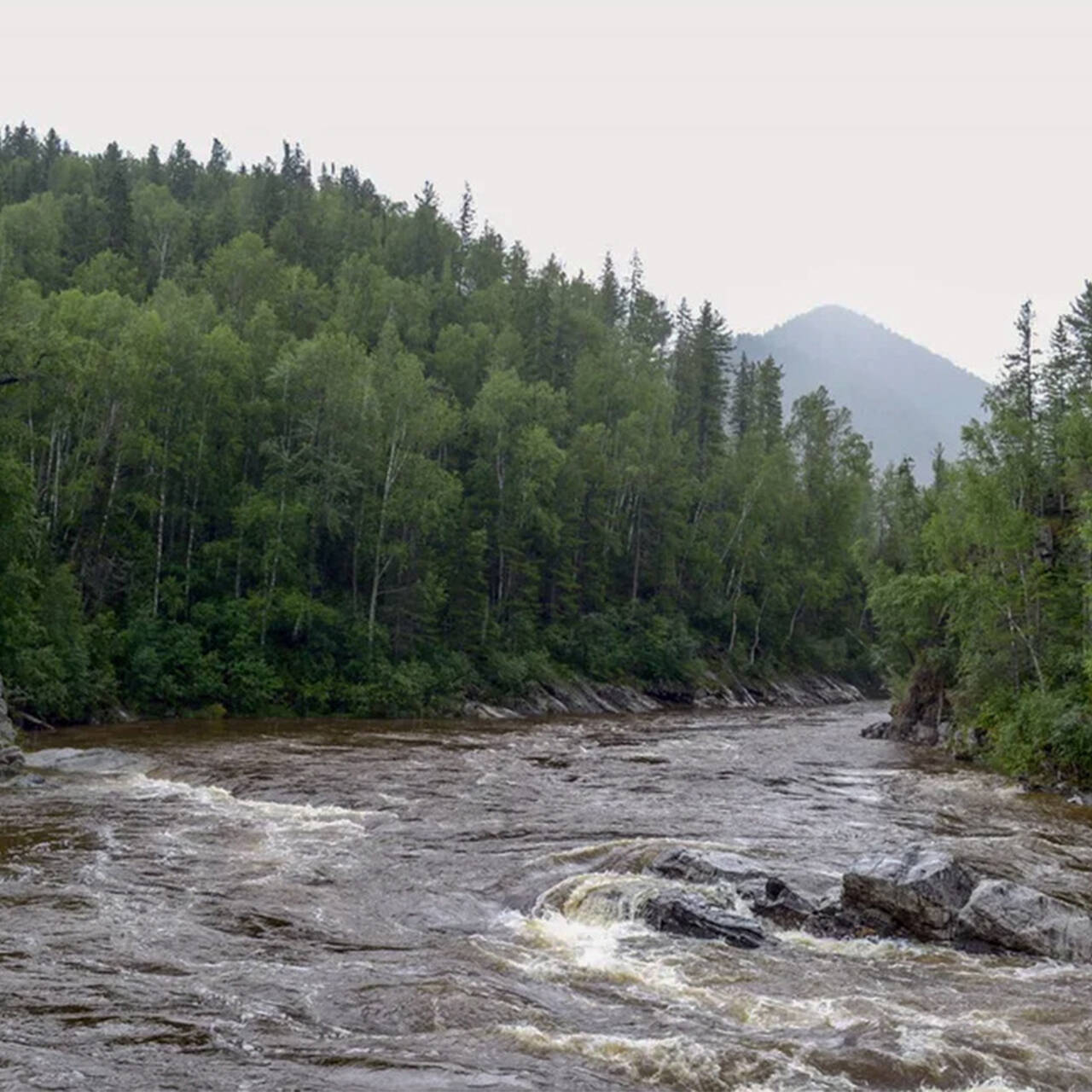 река снежная бурятия