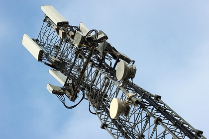 Фото: Лента.Ру