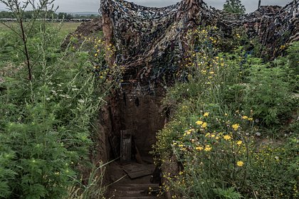  ��������� ������ ����� ����������� 