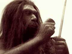 Неандерталец.
Изображение с сайта Wikipedia.org