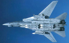 F-14D с ракетами "Феникс". Фото с сайта airwar.ru