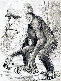 Так противники теории эволюции изображают Чарльза Дарвина. Изображение пользователя с сайта wikipedia.org