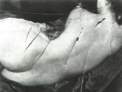 Порезы на "Венере с зеркалом" Веласкеса. Фото с сайта wikipedia.org