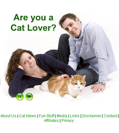 Скриншот сайта знакомств для любителей кошек