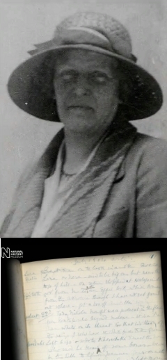 Дороти Бейт и ее дневник. Кадр из видео Британского музея естественной истории