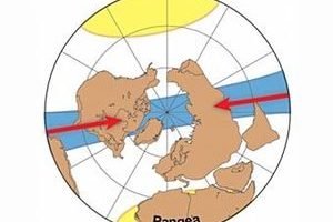 От Ваальбары до Амазии Геологи предсказали местоположение следующего суперконтинента