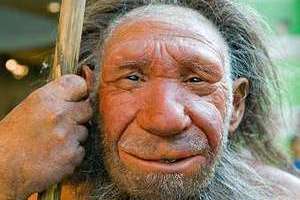 Штрихи к портрету Ученые восстановили образ жизни неандертальцев
