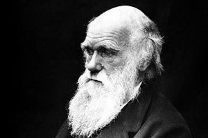 Полтора века эволюции Как изменилась теория Чарльза Дарвина за 150 лет