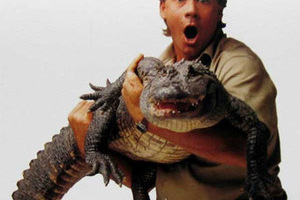 Он боялся только попугаев Стив Ирвин, "охотник за крокодилами" с телеканала Discovery, погиб во время съемок