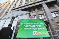 Одиночный пикет у здания Госдумы РФ, 23 января 2013 года