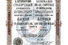 Санкт-Петербургский столичный ломбард. Акция в 125 рублей (1911 год). 