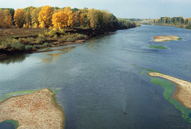 Река Урал в Оренбургской области