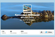 Скриншот твиттера <a href="https://twitter.com/Frozen_Croco" target="_blank">Исетского крокодила</a>