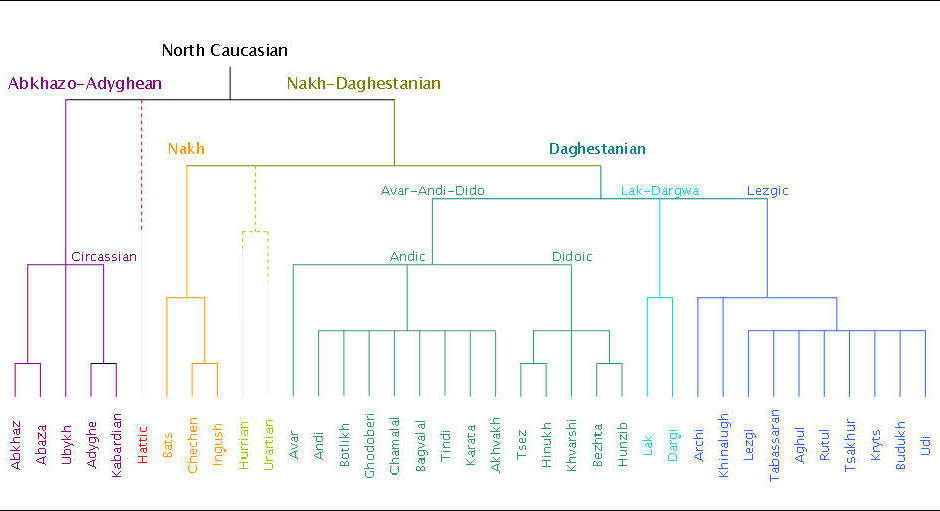Генеалогическое древо северокавказских языков