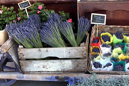 Цветочный рынок в Экс-ан-Провансе