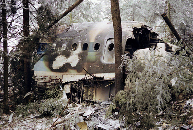 Разрушенная носовая часть самолета А-320 компании French Air Inter, 20 января 1992 года