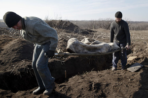 Части тел Как волонтеры обменивают живых и разыскивают останки погибших солдат в Донбассе