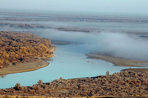 Ядовитые воды Самая длинная река Средней Азии оказалась отравленной