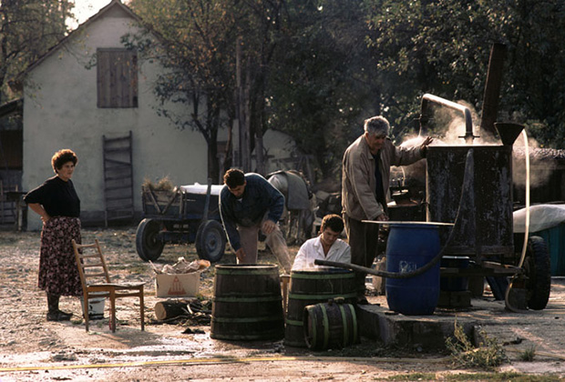 Многовековая традиция производства ракии в Сербии никогда не прерывалась