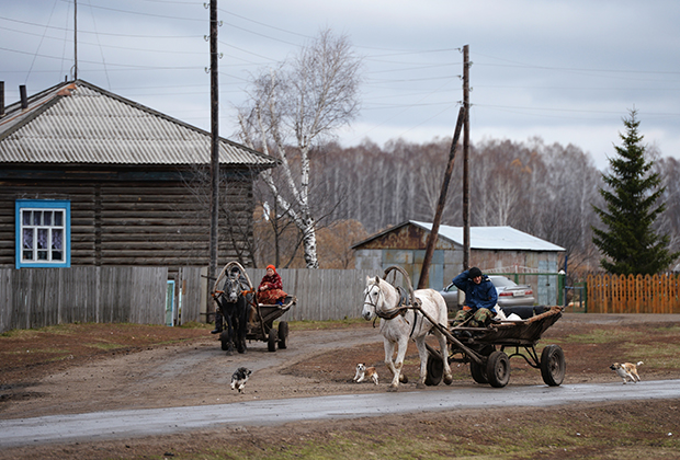 Лошади с телегами на одной из улиц села Мышланка Новосибирской области