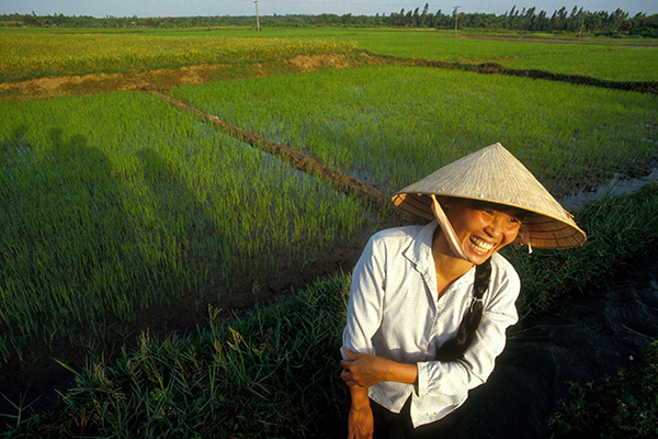 Сезон отдыха во Вьетнаме в 2023: когда и куда лучше ехать, нужны ли виза и тест