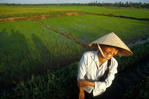 Рисовая держава Что нужно знать, отправляясь во Вьетнам