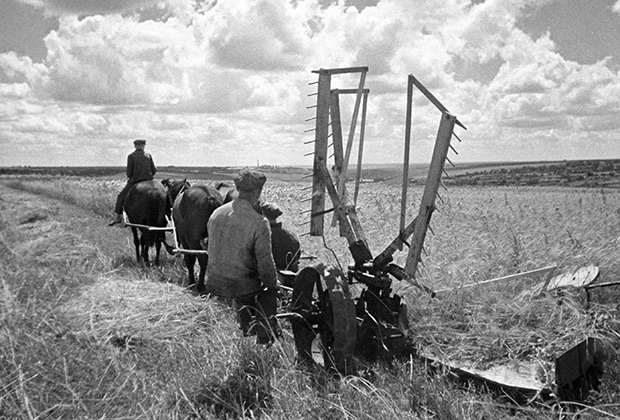 Колхозники на покосе, 1932 год