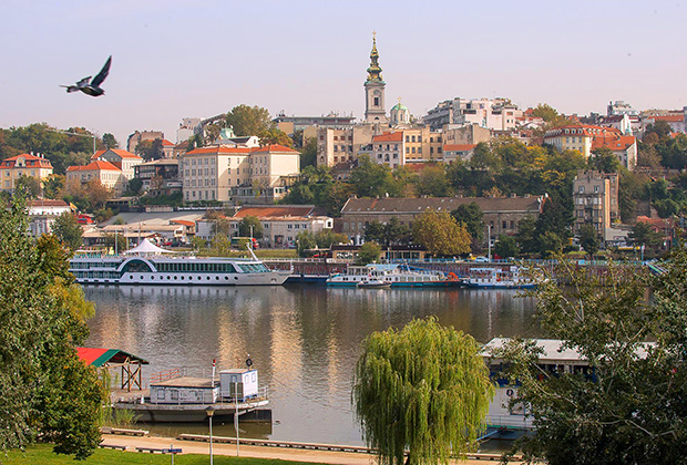 Дунай в Белграде коричневый, Сава еще грязнее. Сербы щедрые