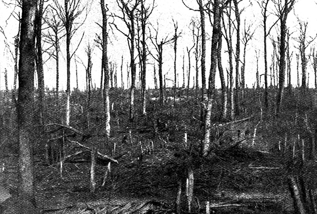 Французские позиции в лесу близ города Верден, 1916 год