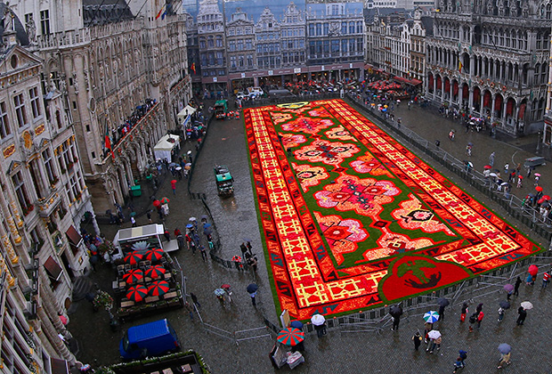 Ковер, сделанный из цветов на главной площади Брюсселя, август 2014 года