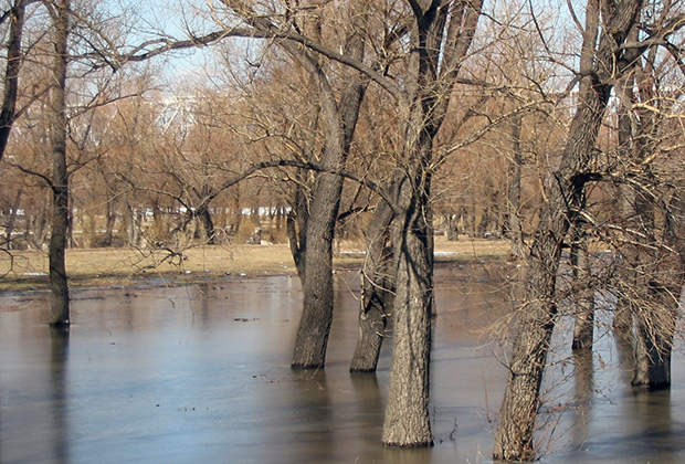 Весной обе омские реки широко разливаются, подтапливая городские парки и скверы