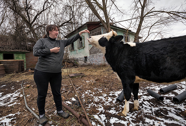 Чернобыль — 30 лет после аварии на Чернобыльской АС. Самопоселенка Александра и ее корова-кормилица
