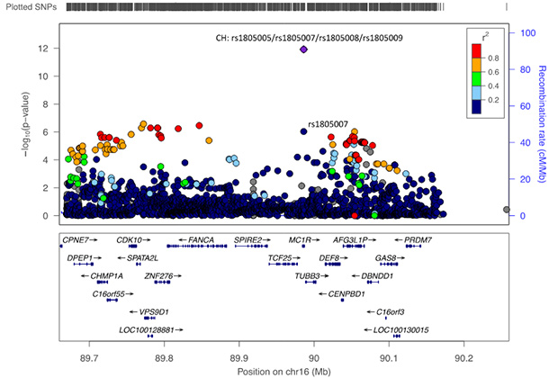 Манхэттенский график, который показывает, что локус MC1R наиболее тесно связан с внешним возрастом. По горизонтали показаны локусы различных генов, а по вертикали — степень ассоциации с возрастными признаками. 