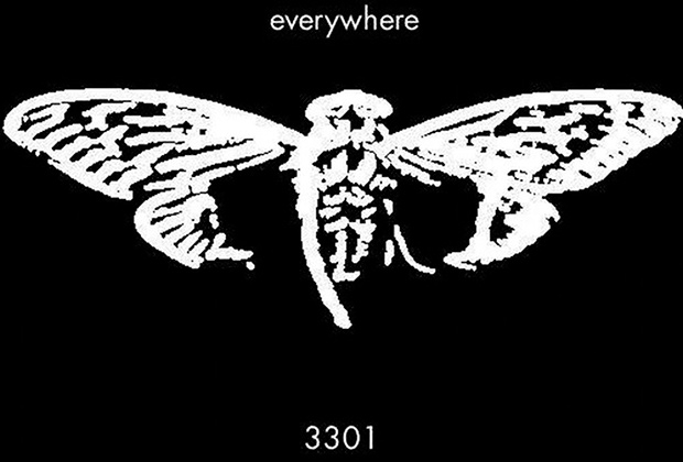 Смысл игры Cicada 3301 остается загадкой для пользователей сети