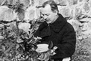 Николай Вавилов, 1935 год