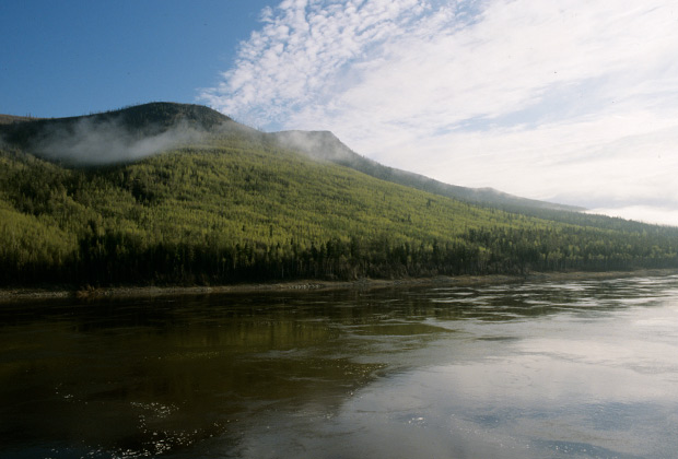 Лена Сенкинаның қолдан жасалған әуесқой порно мұрағаты