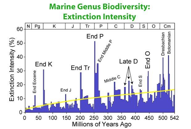 Периоды массовых вымираний на Земле и снижение видового разнообразия